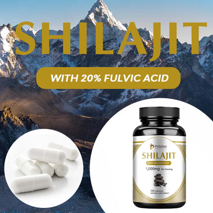 Shilajit 1000mg – Strength, Stamina & Mental Focus for Men