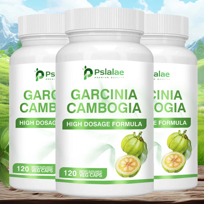 Garcinia Cambogia – Natural Fat Burner