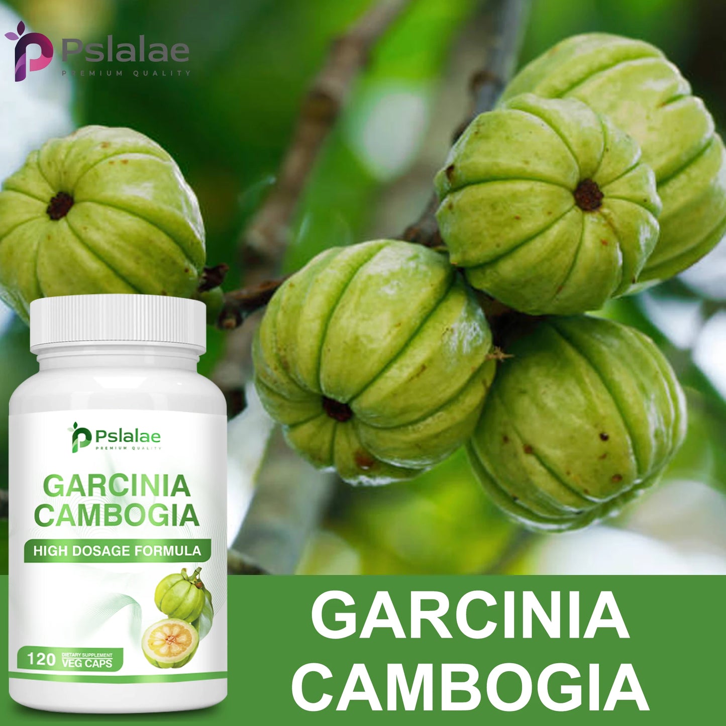 Garcinia Cambogia – Natural Fat Burner