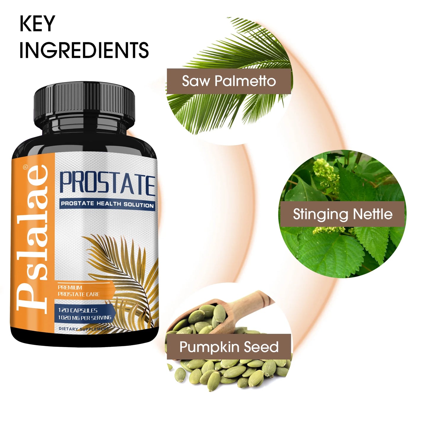 Prostate Support with Saw Palmetto