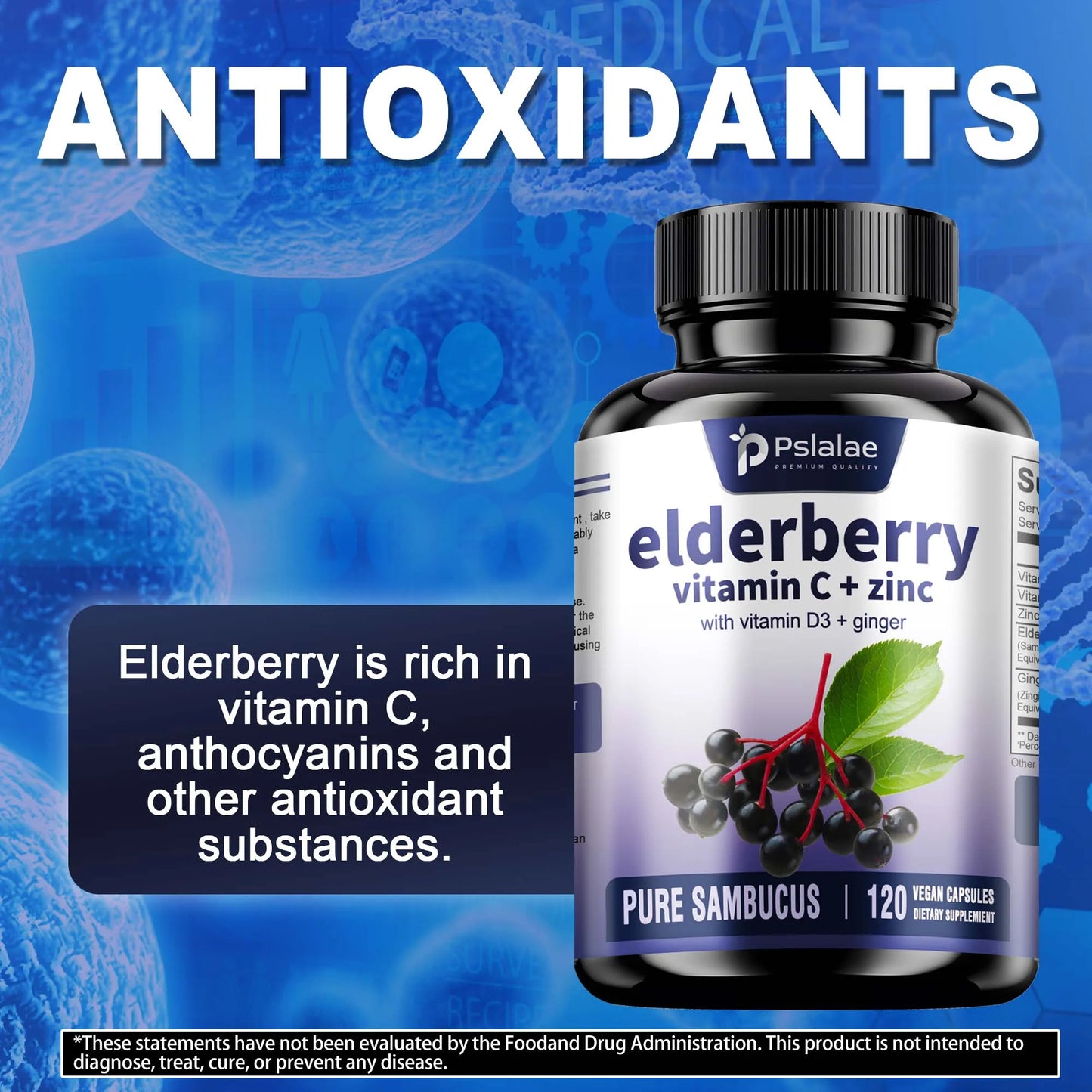Elderberry – Immune Support with Vitamin C & Zinc