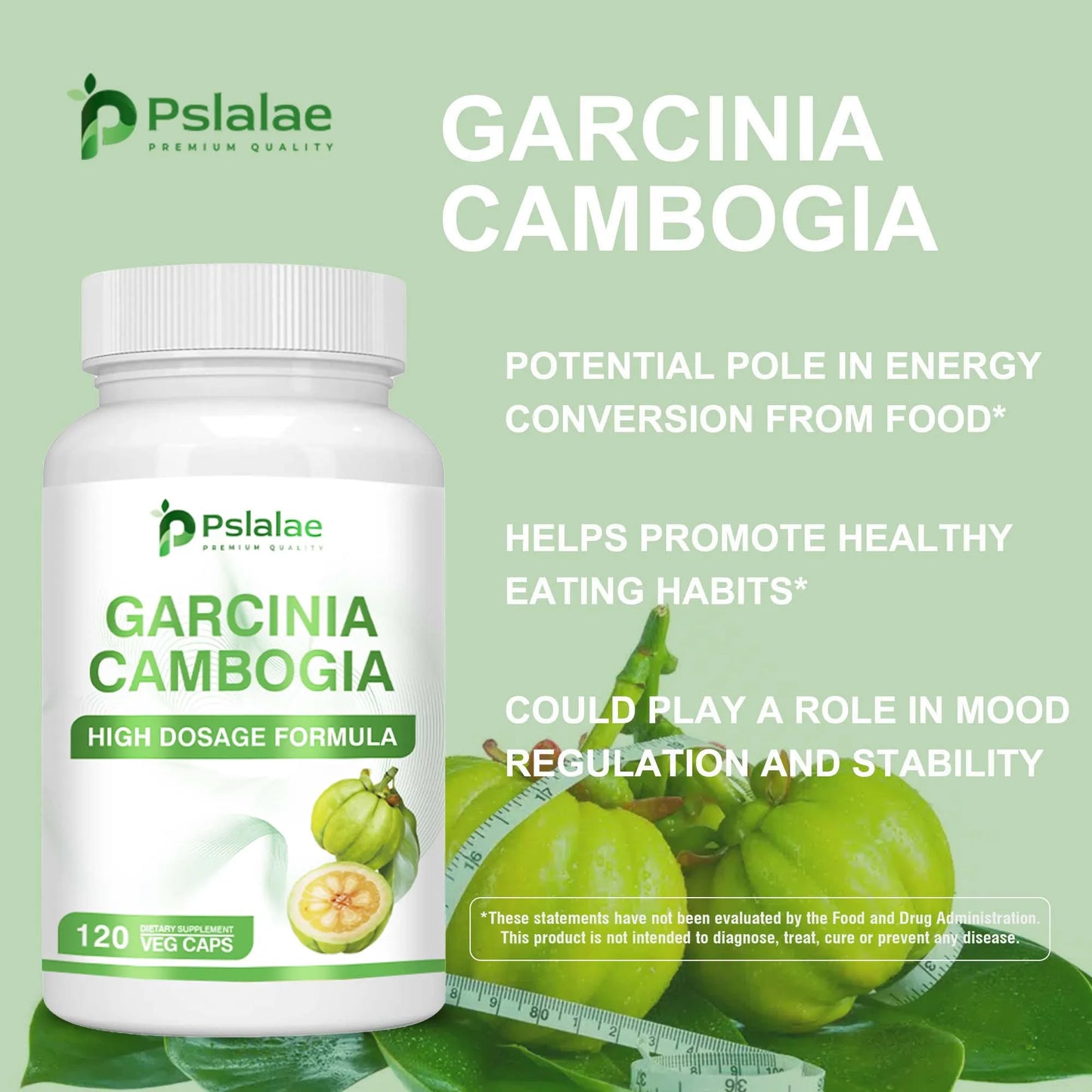 Garcinia Cambogia – Natural Fat Burner
