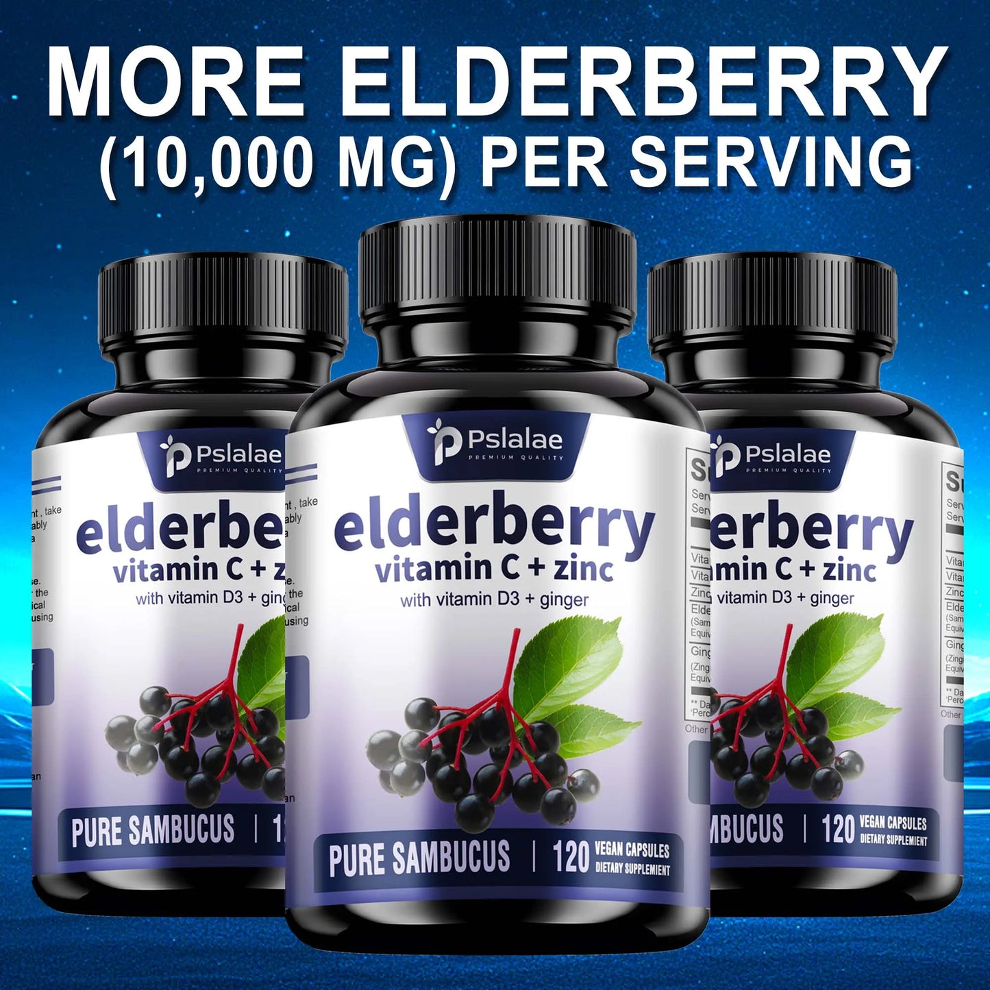 Elderberry – Immune Support with Vitamin C & Zinc